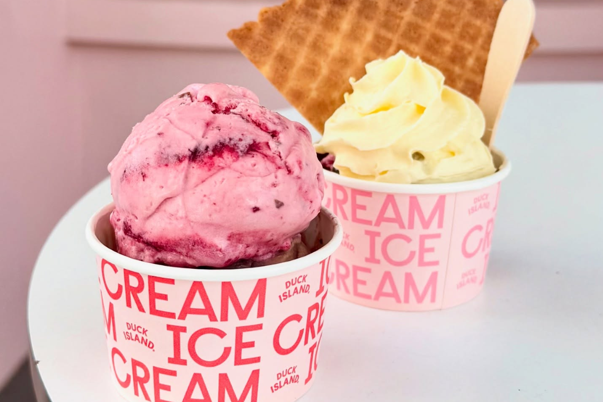 Duck Island Duck Island