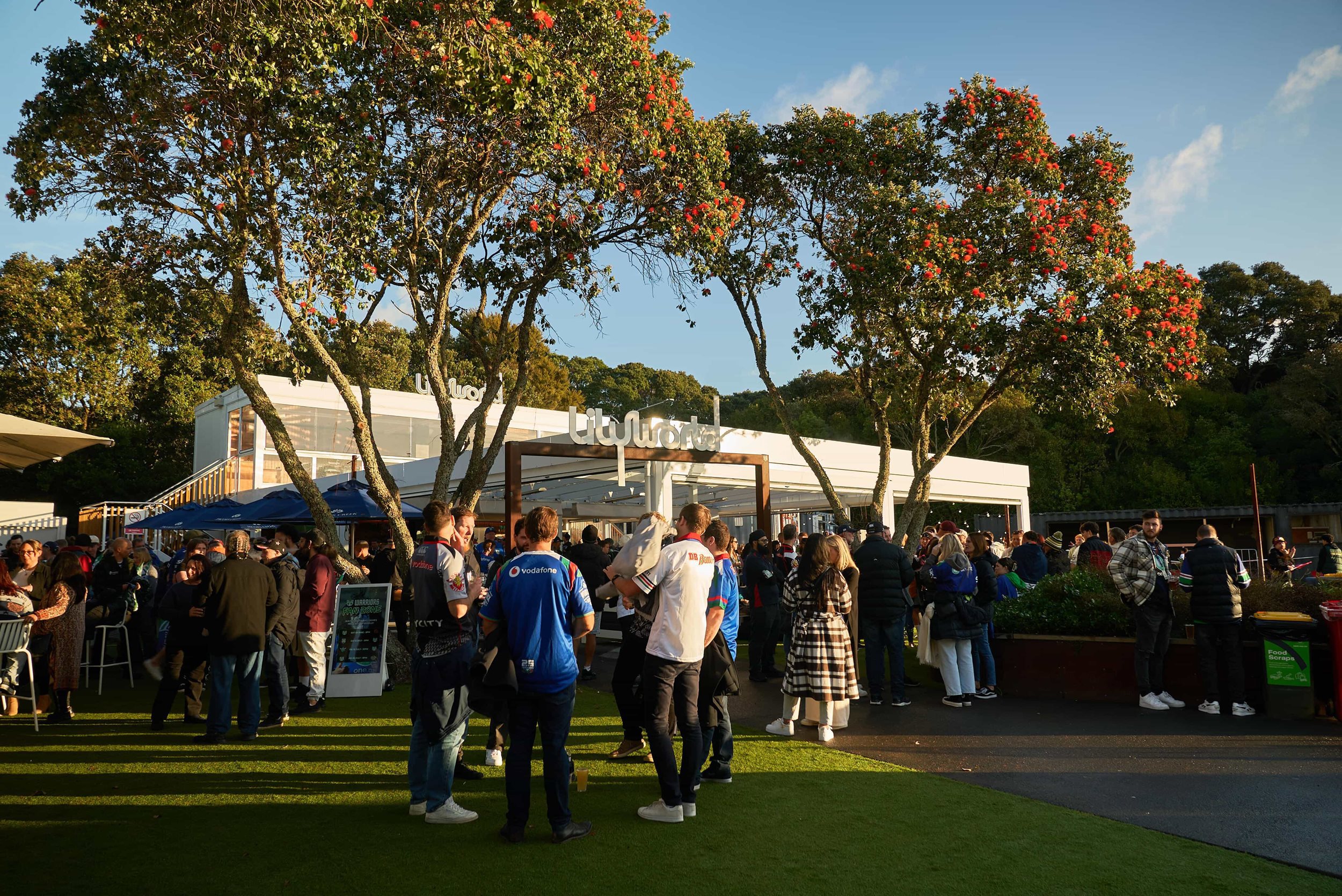 Top 10 Bars in Auckland for Watching Sports