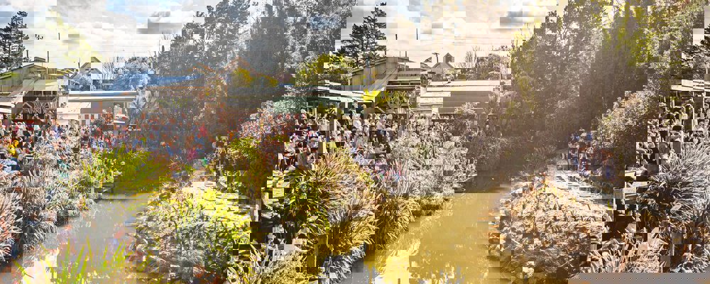 Two Column Image Text