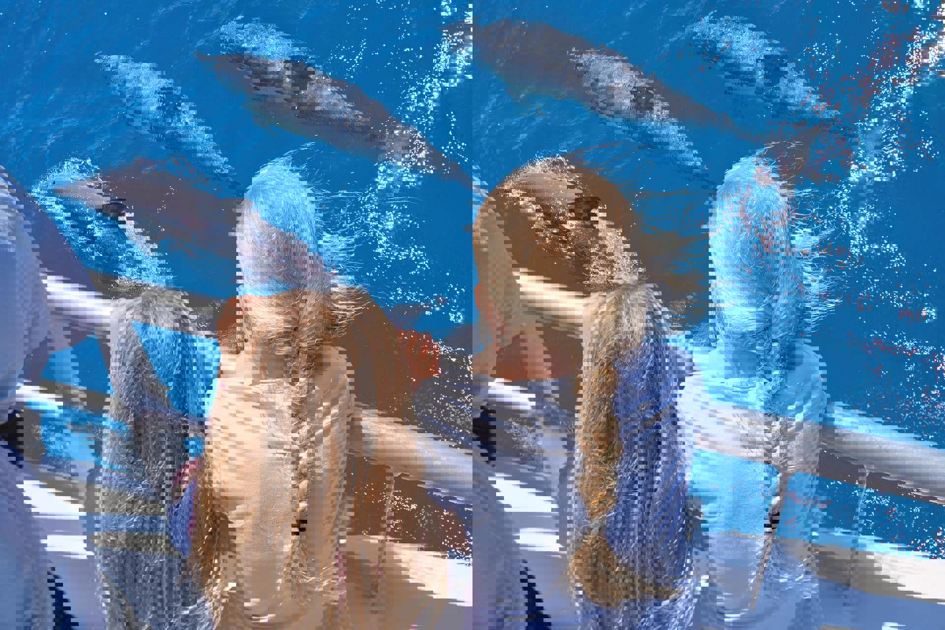 Tikapa Moana Whale & Dolphin Wildlife Cruise