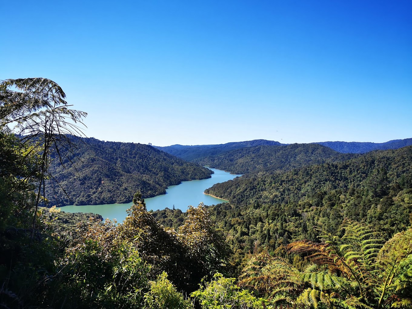 Moumoukai  Farm Loop