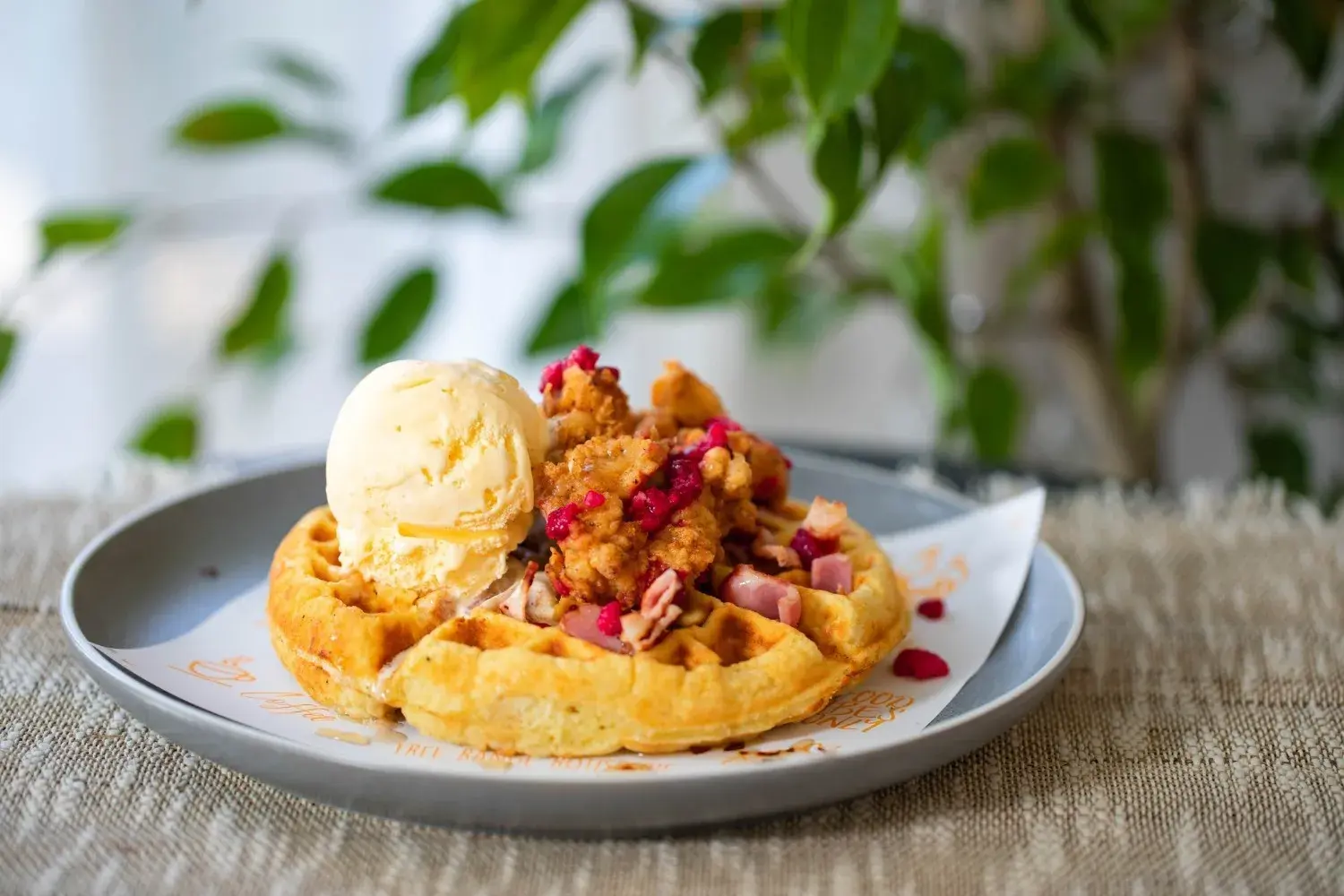 Bird On A Wire Takapuna
