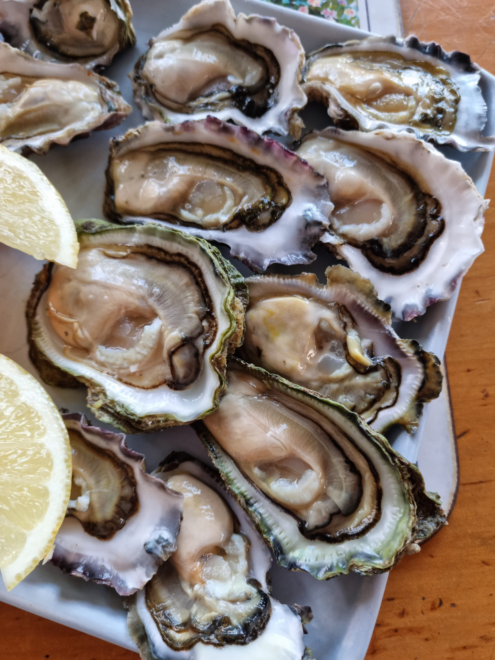 Matakana Oyster