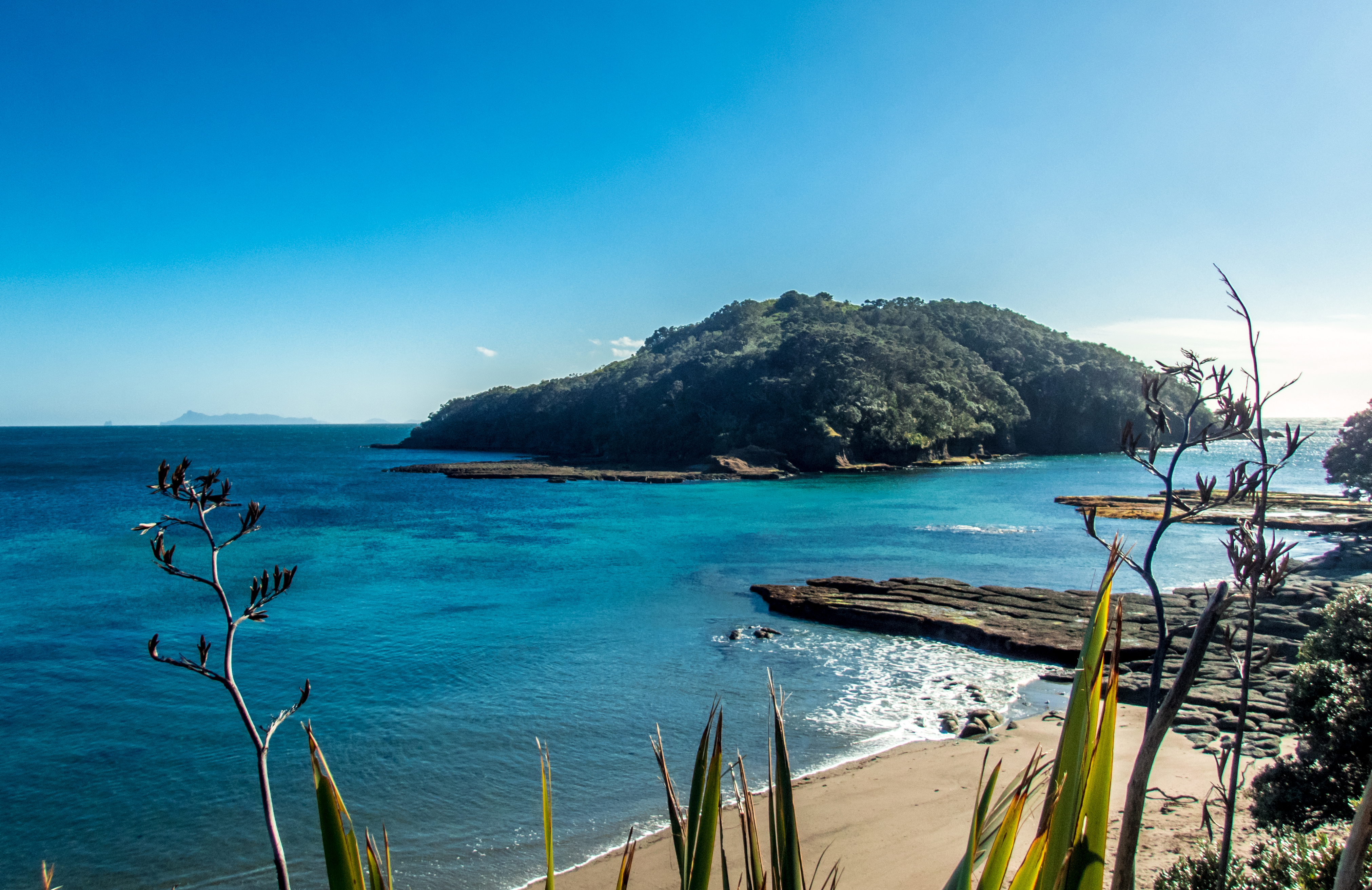 Goat Island  Experienced   Snorkellers Tour