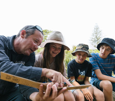 Rotoroa Island   Guided Nature Walks