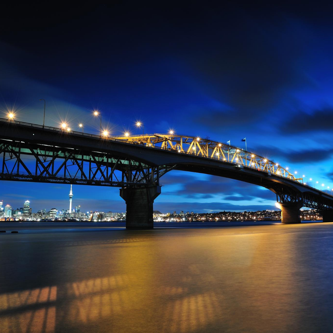 Ocean Groove Cruises