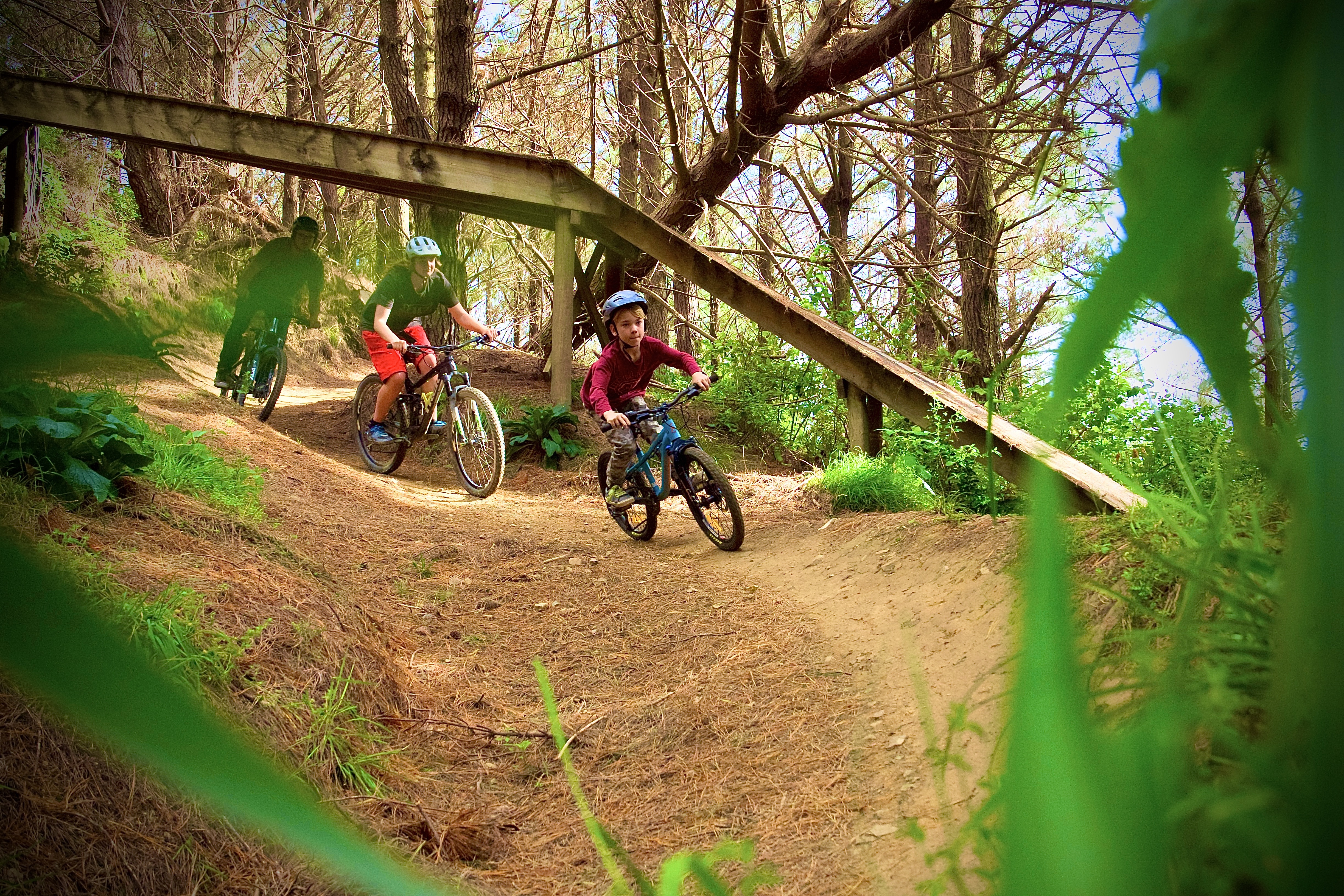 Fourforty   Mountain   Bike Park