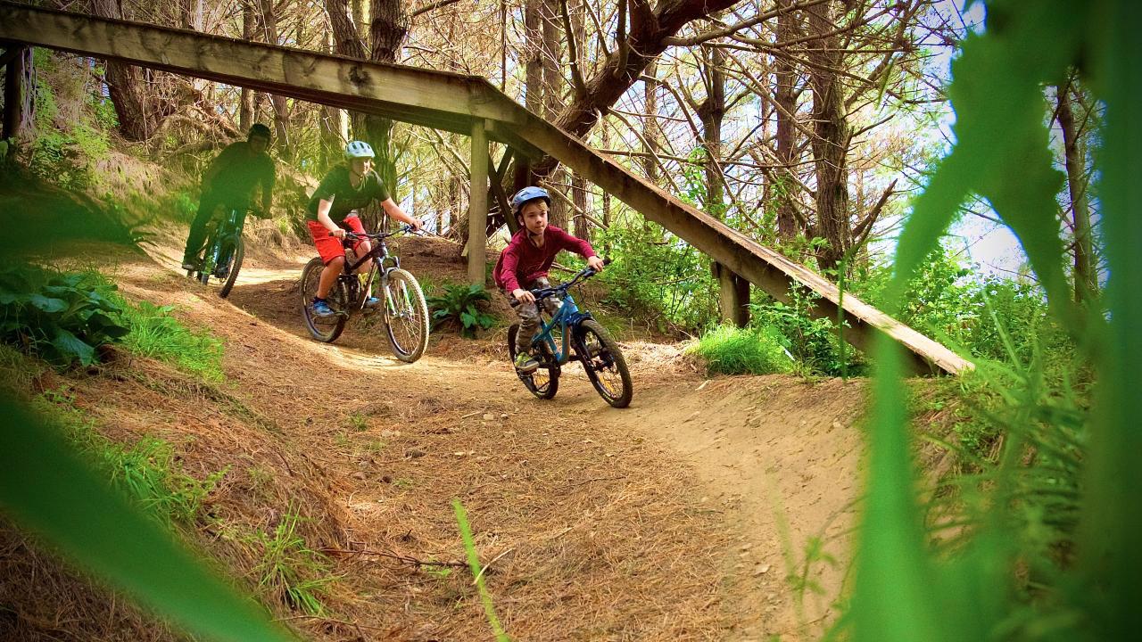 Mountain Biking In Auckland  