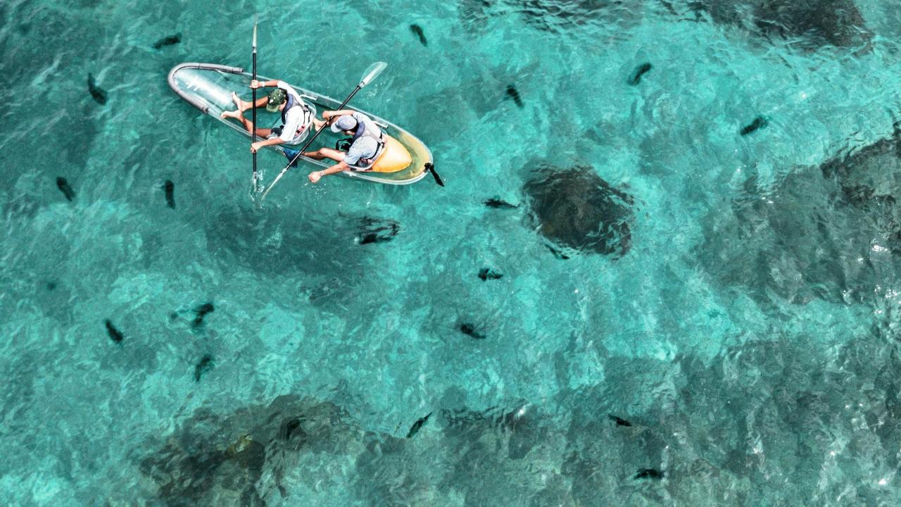 Goat Island Clear Kayak Hire