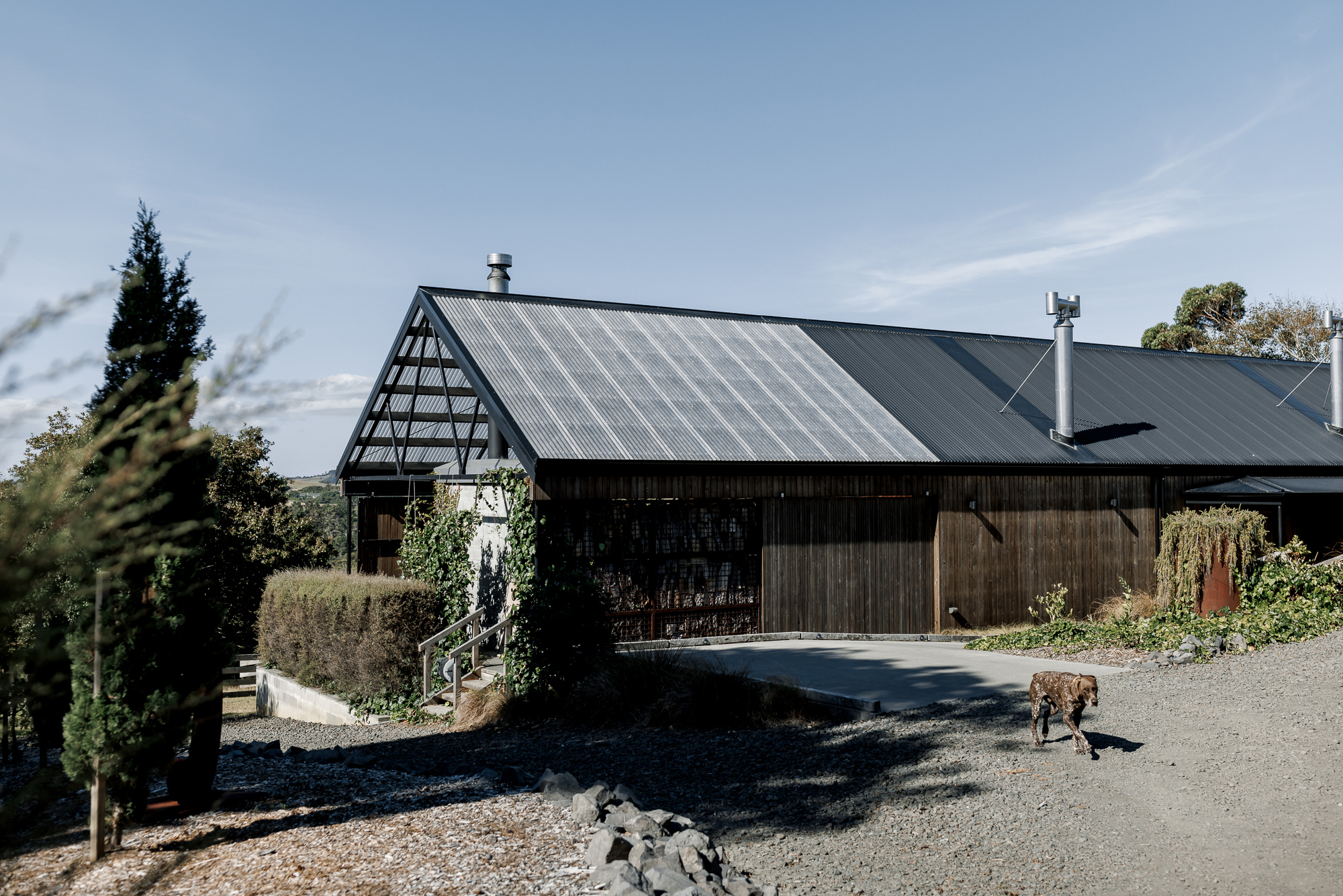 Good From Scratch:   The Farm Experience