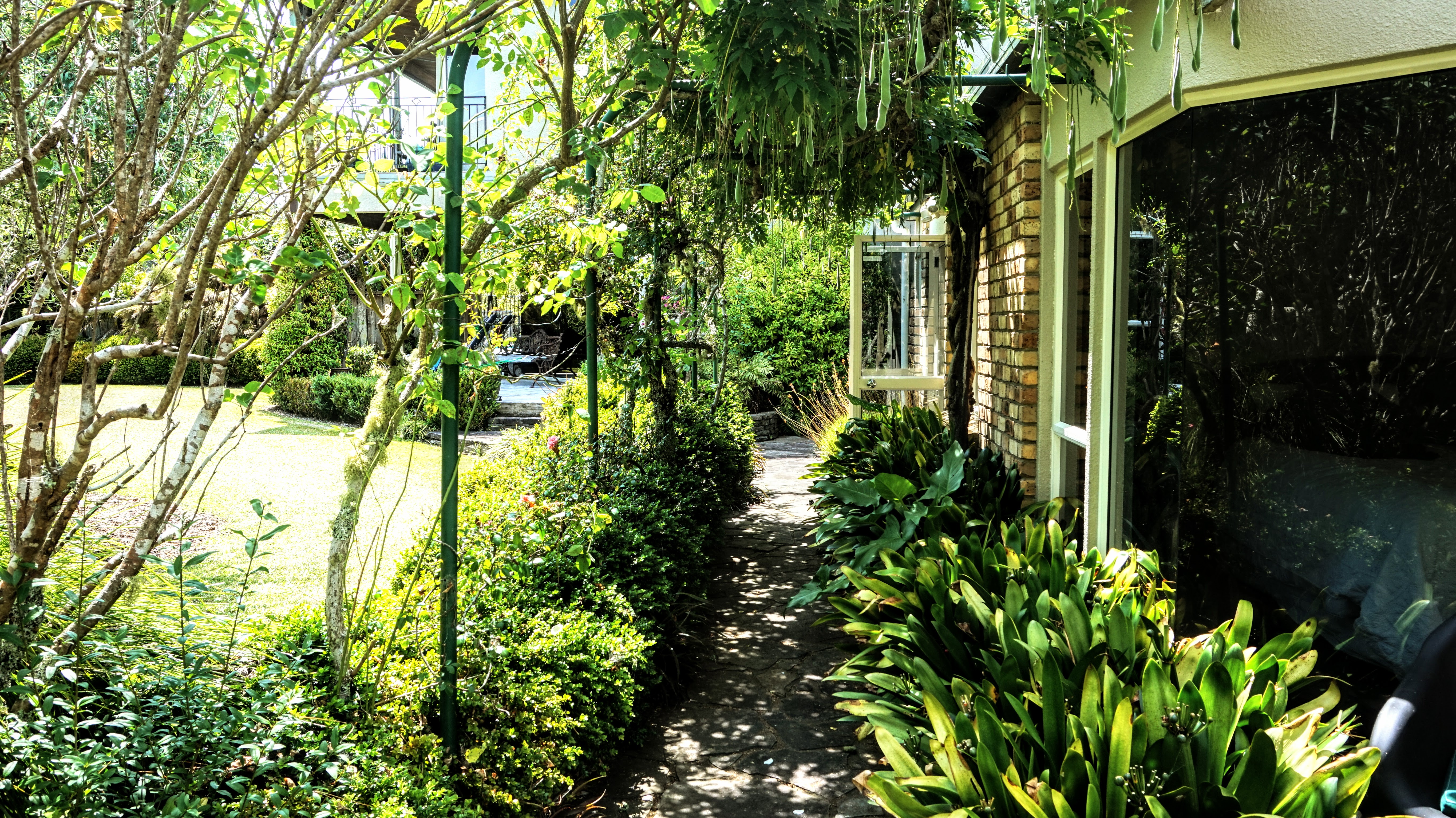 Maddisons Garden Homestay