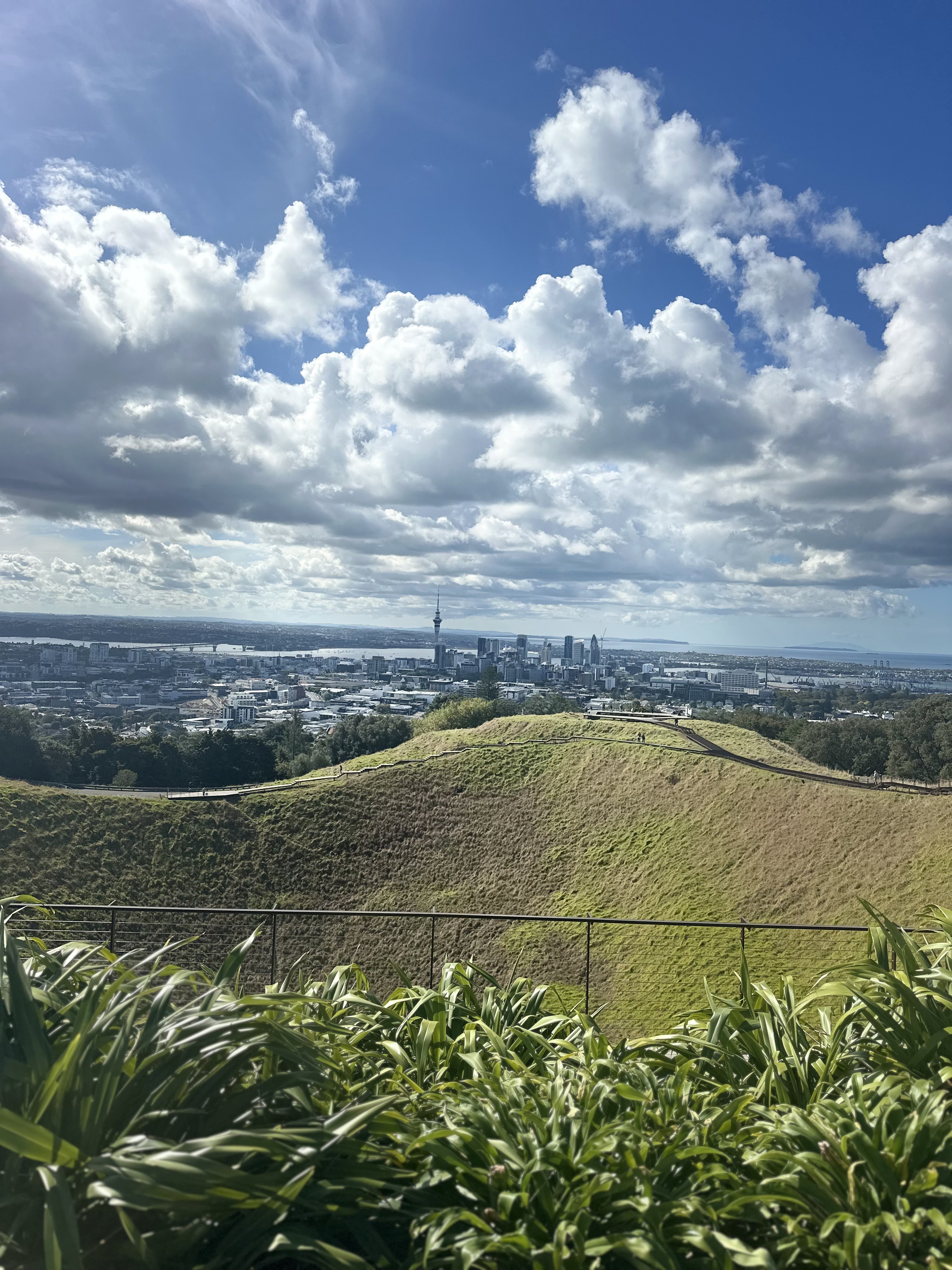 Hopincab: Piha Beach, Rainforest Adventure & Mt. Eden with Tour Guide