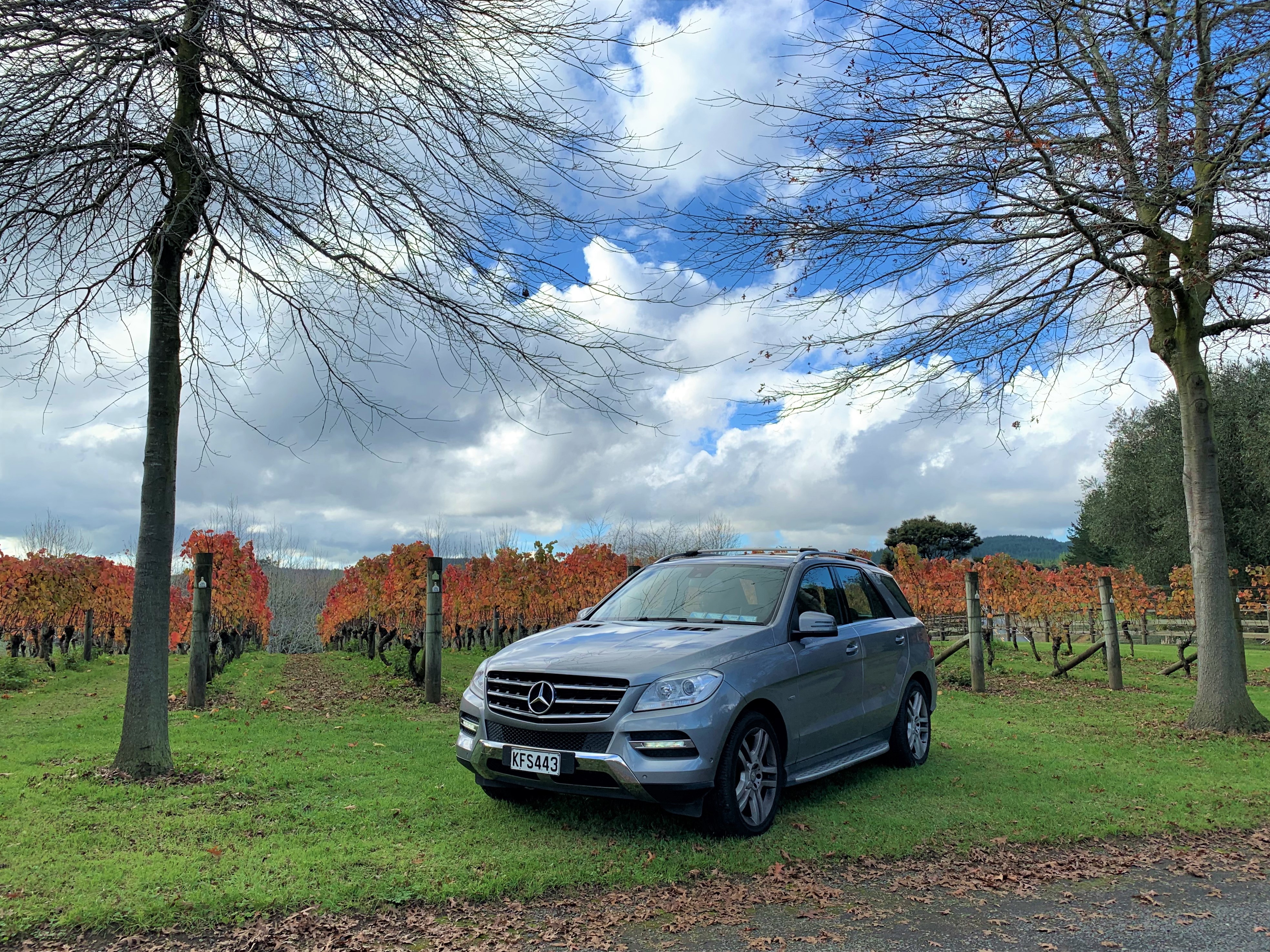 Auckland & Beyond Tours