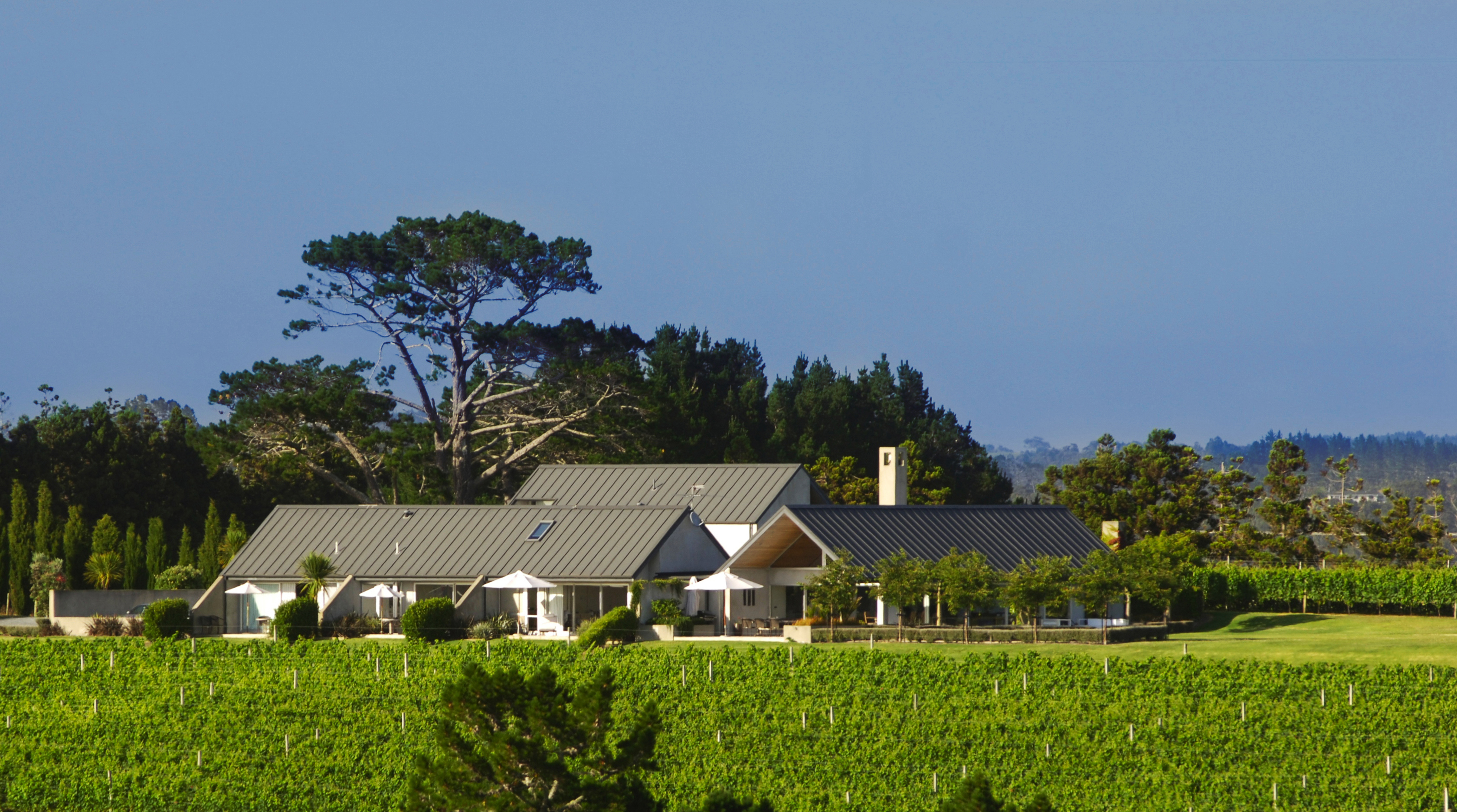 Takatu  Lodge &  Vineyard Matakana Coast