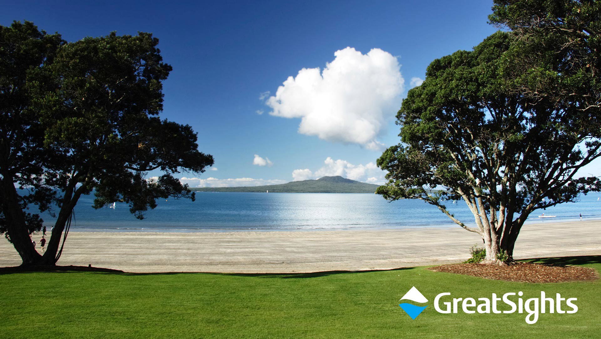 Auckland City Tour  GreatSights New Zealand