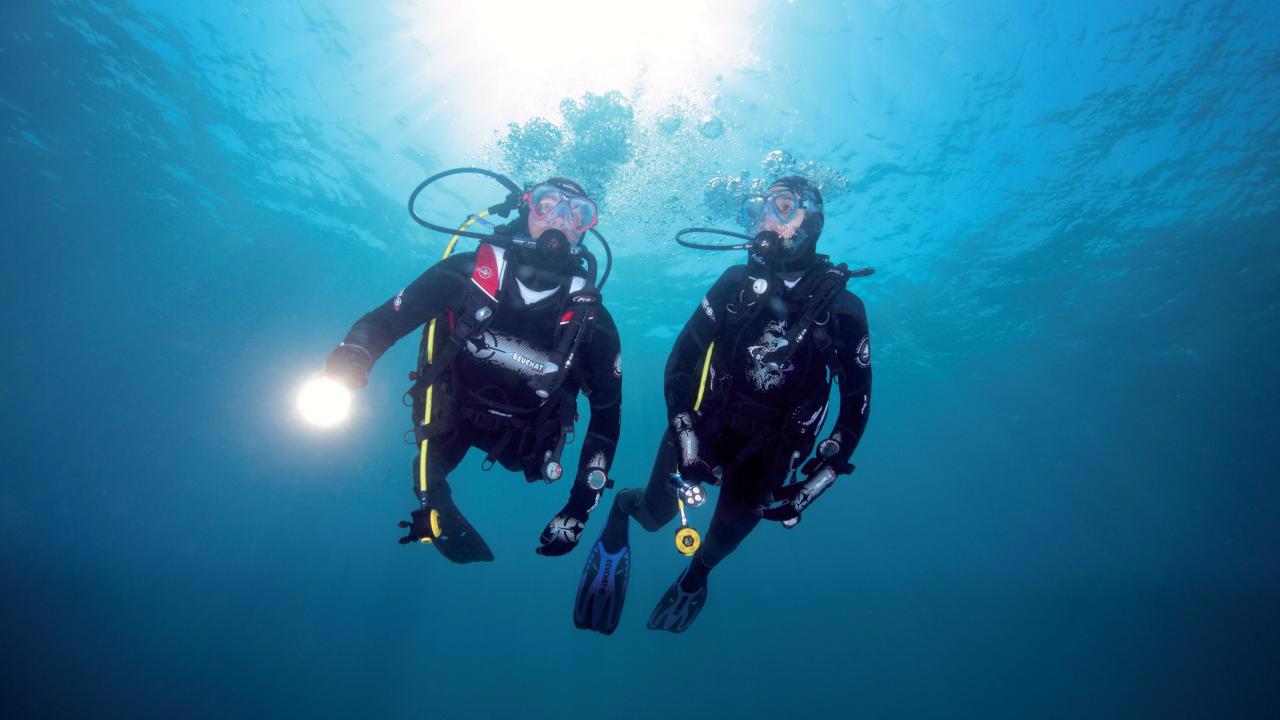 New Zealand Diving Dive Charters
