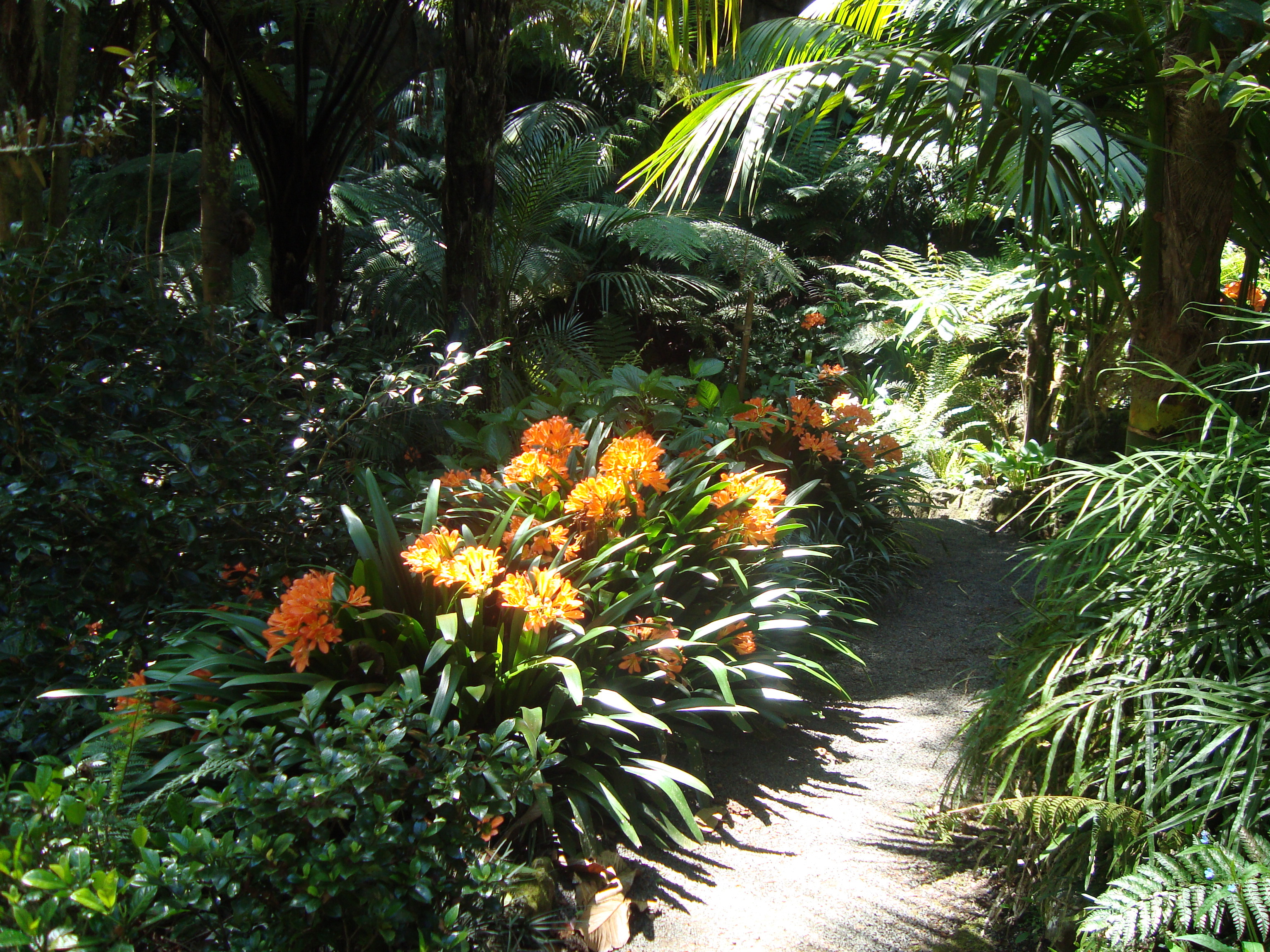 Eden Garden and Cafe