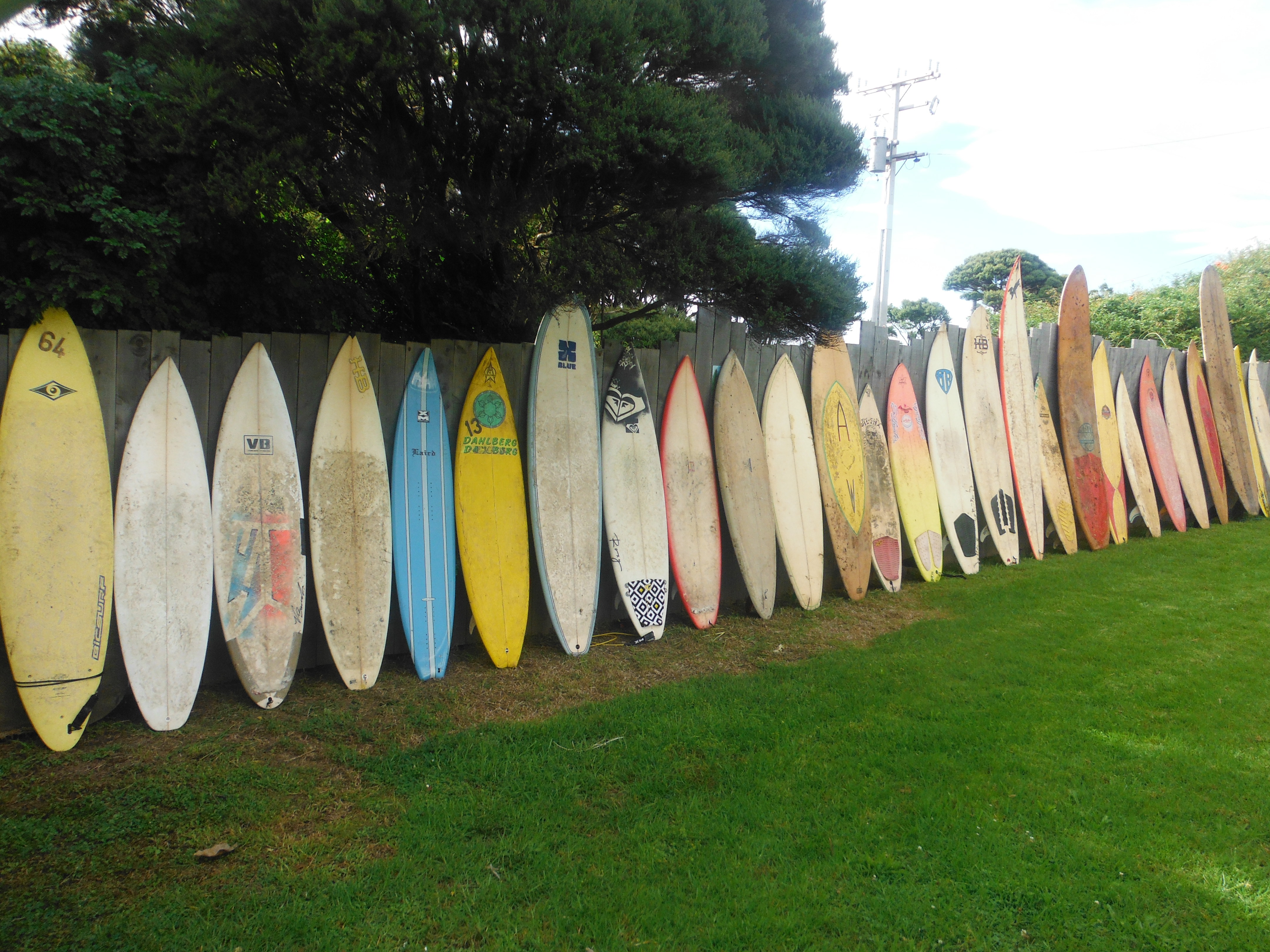 Auckland Surfboard Rentals