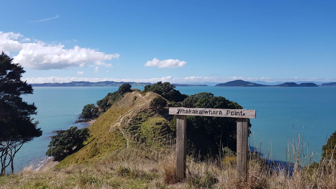 Wild Adventures New Zealand