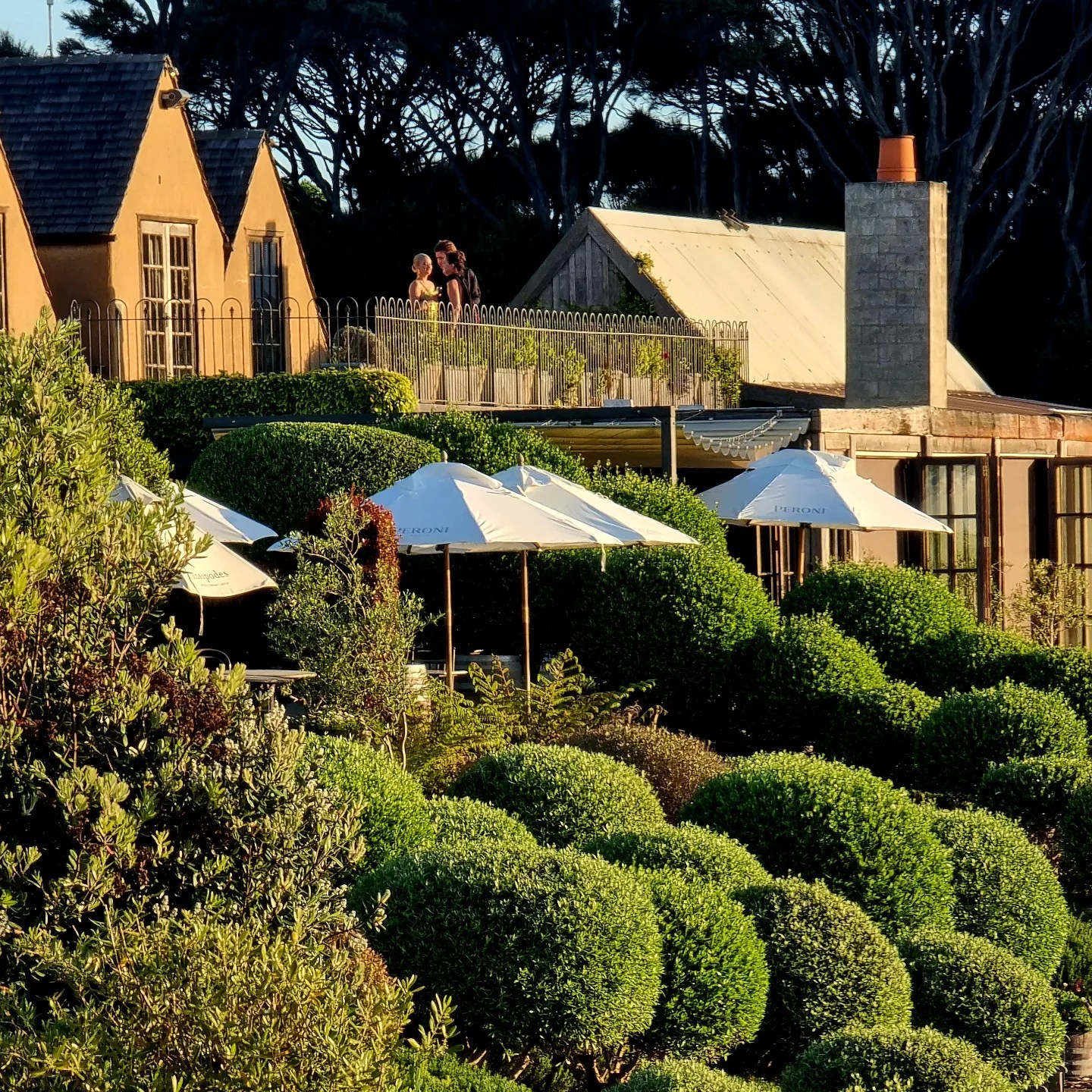 Super Boutique Small Group Wine Tours on Waiheke Island