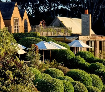 Super Boutique Small Group Wine Tours on Waiheke Island